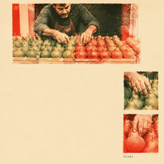 Fruit seller arranging pears in the Editorial Halftone style