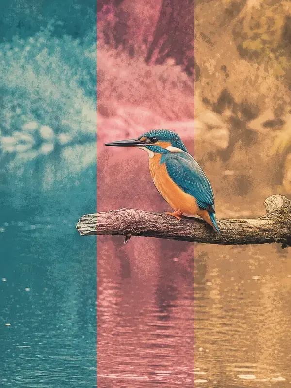 Kingfisher on a branch in the Chromatic Bars style