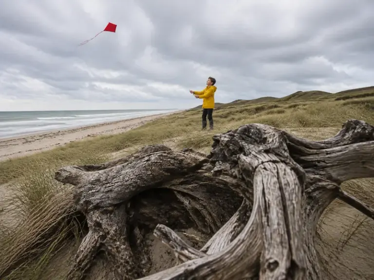 Boy flying a kite beyond coastal driftwood in the Near / Far style