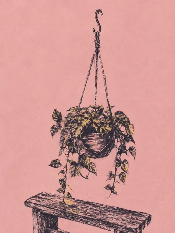 Hanging pothos planter in the Sugar Crayon style