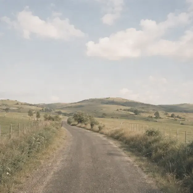 Country road in the Washed 35 style