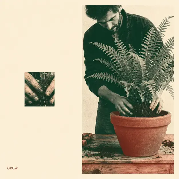 Gardener potting a fern in the Quiet Editorial style