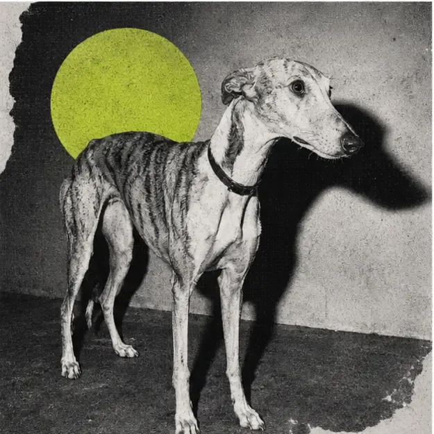 Greyhound in the Flash Zine style