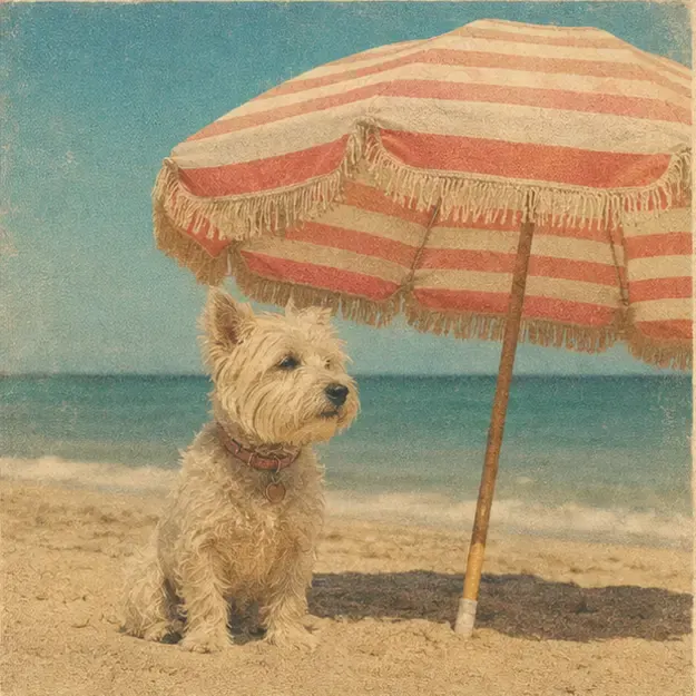 Dog beside a beach umbrella in the Postcard Summer style